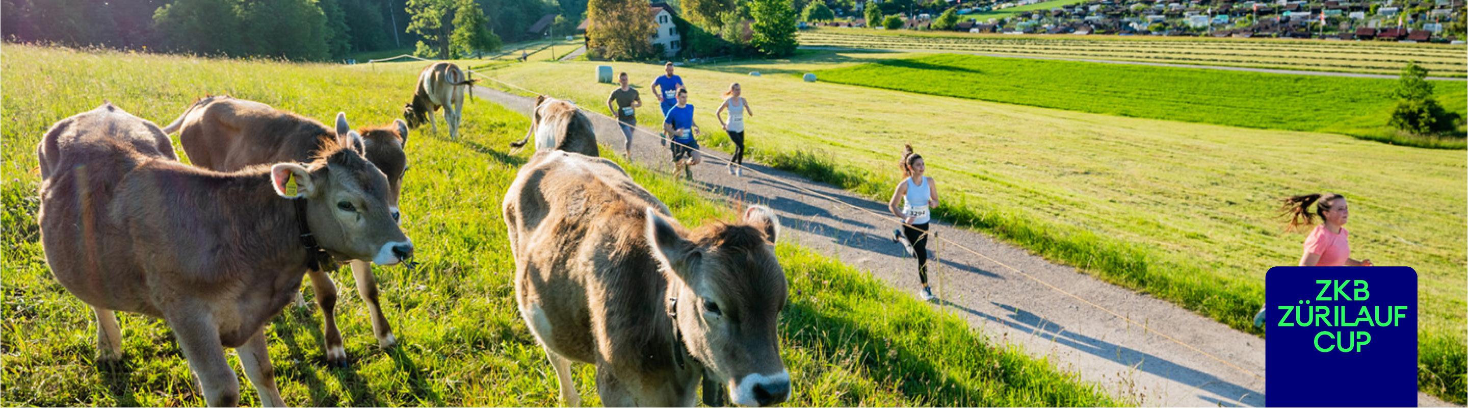 Laufsporttag Winterthur 2026
