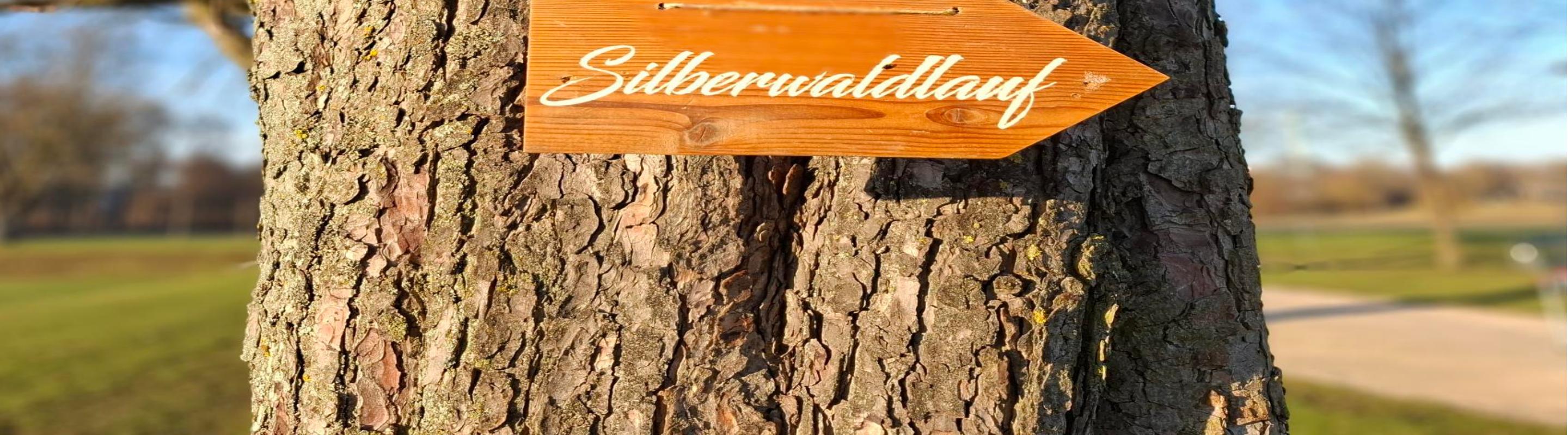 3. TSF-Silberwaldlauf