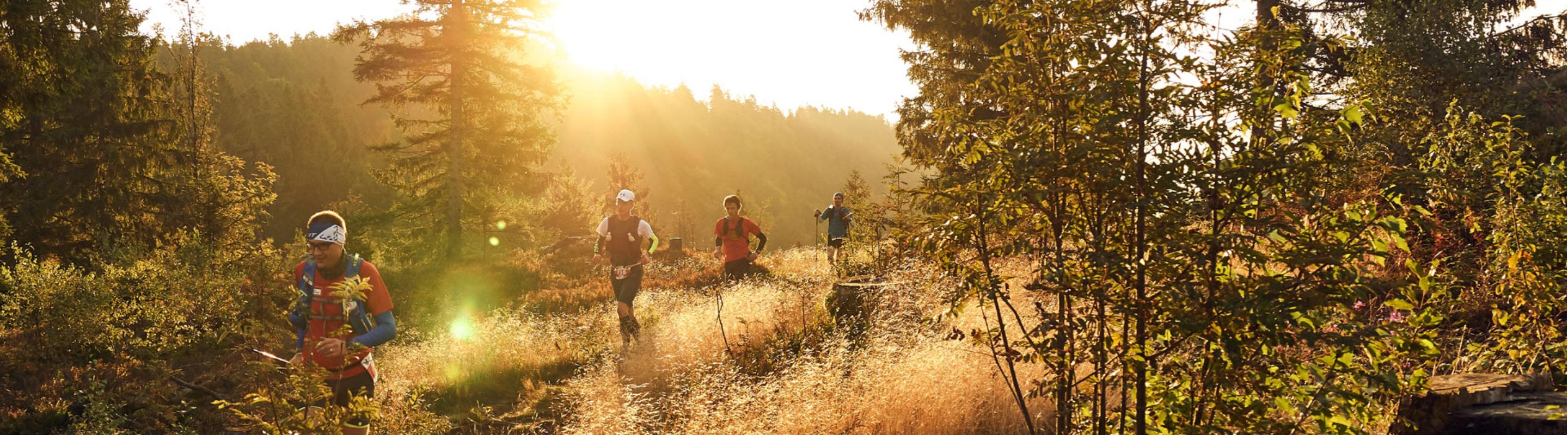 9. ARBERLAND Ultra Trail