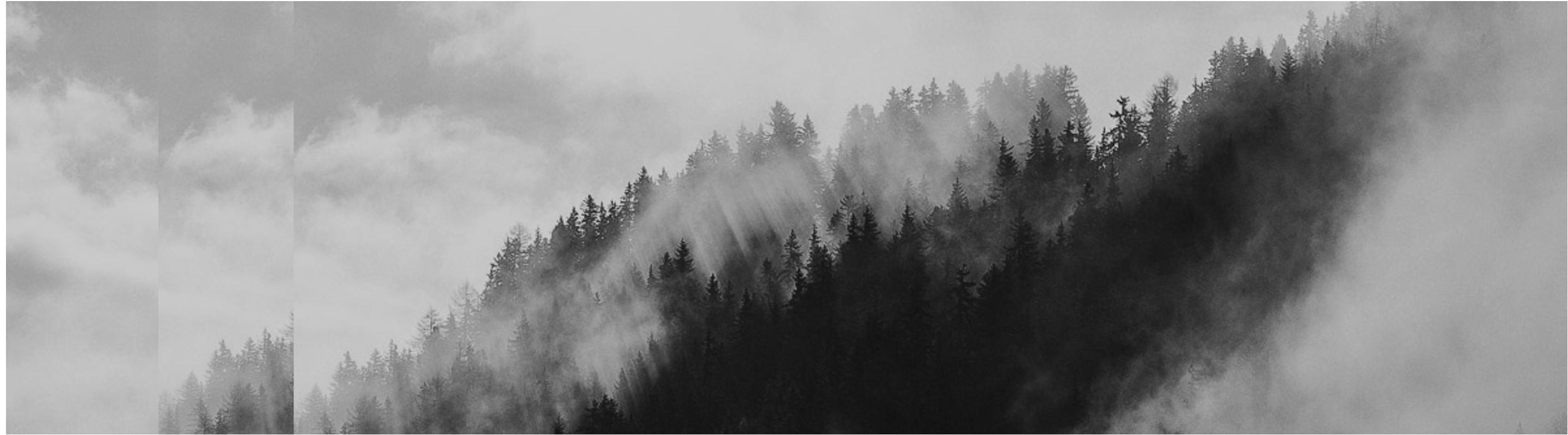 Black Forest Ultra Trail Run 2027